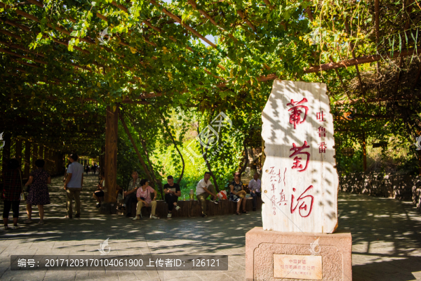 葡萄溝風(fēng)光