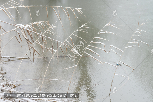 冰河