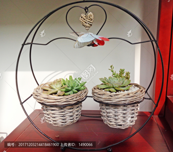 多肉植物小花籃臺擺