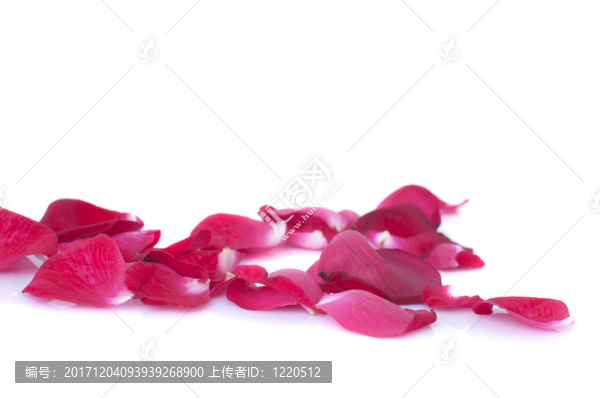 緊密的