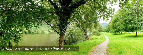 公園