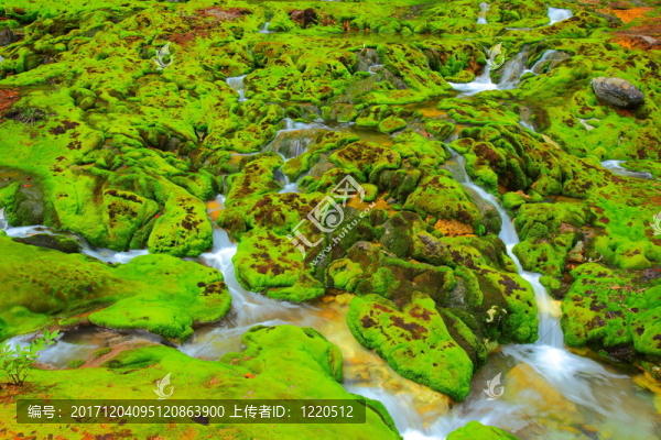 河流