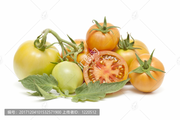 番茄