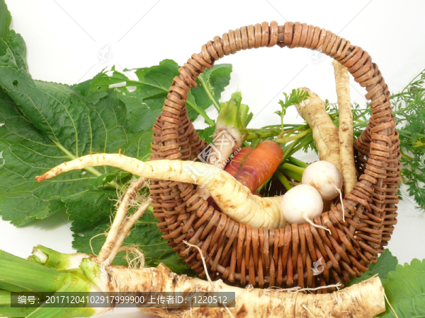 根蔬菜