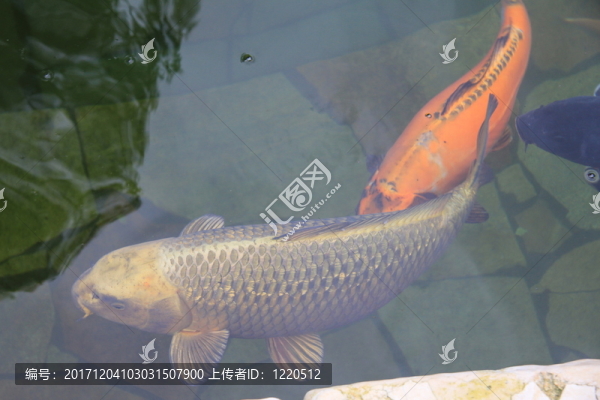 花園