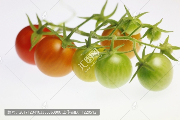 番茄