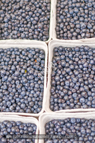 blaubeeren