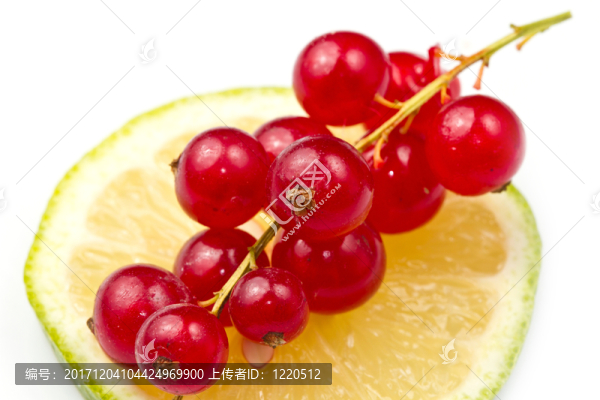 食物
