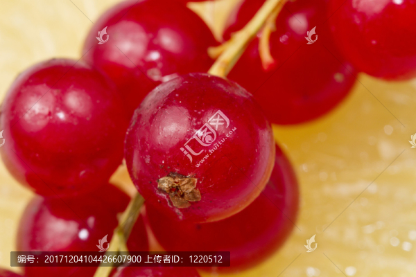 食物