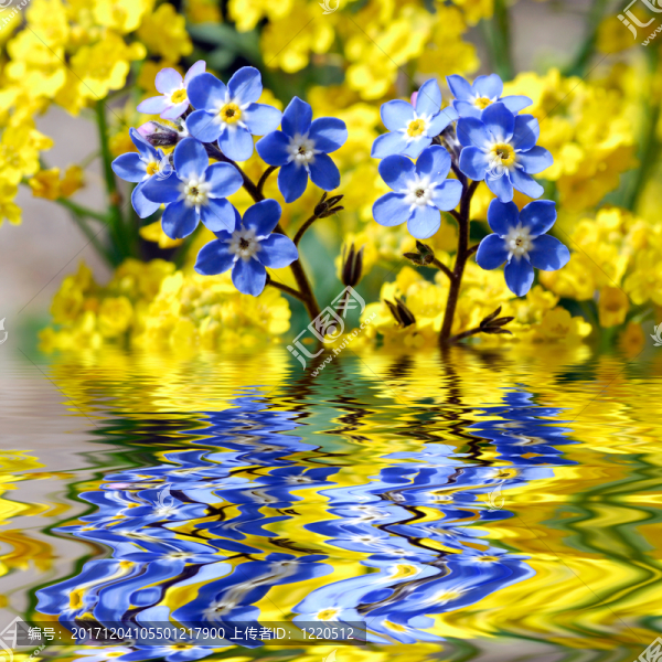 花