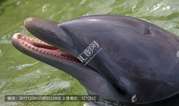 等候
