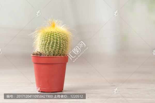 裝飾