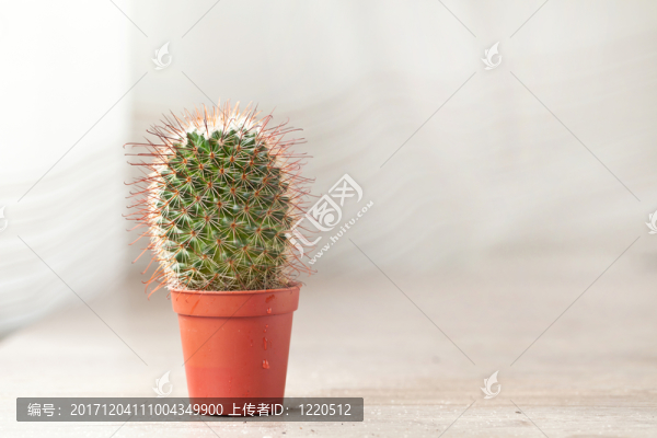 裝飾