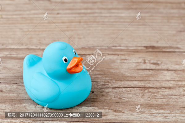 動(dòng)物