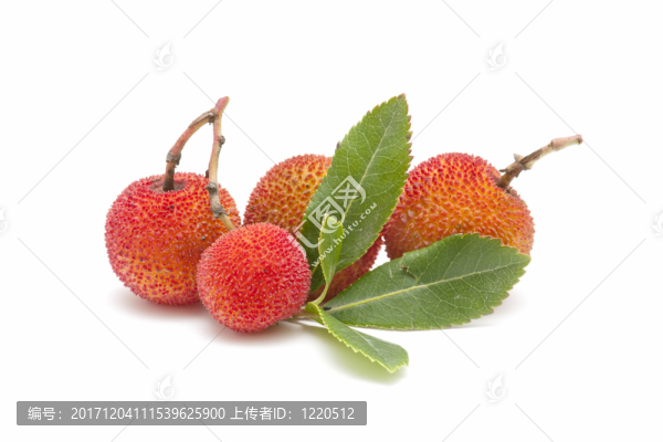凸頜