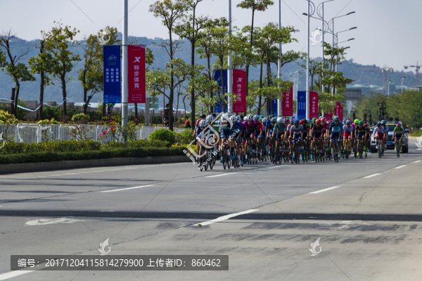 國際公路自行車賽