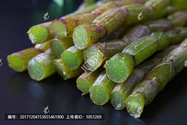 鐵皮石斛
