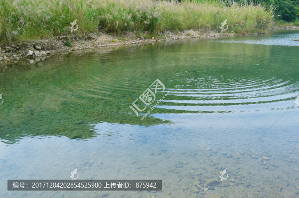 溪流河流