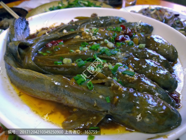 胖頭魚(yú)