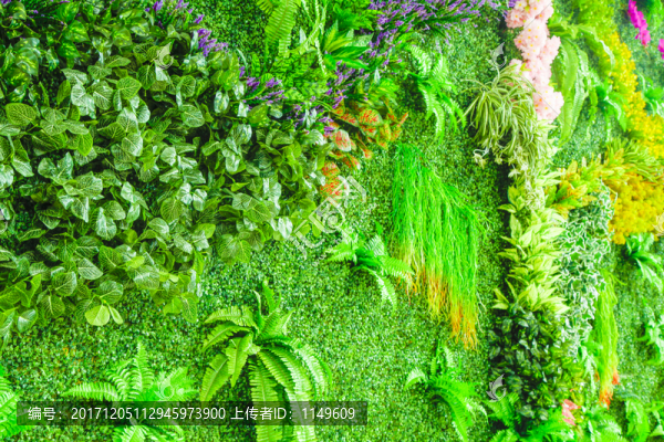 綠植墻,植物墻,背景墻