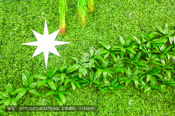 綠植墻,花墻