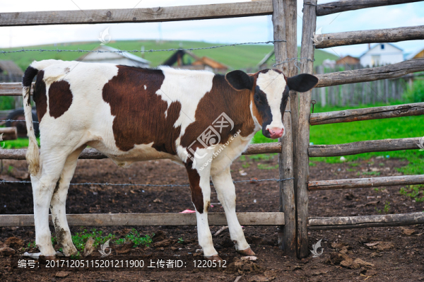 農(nóng)業(yè)的