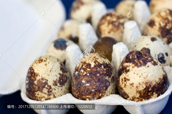食物