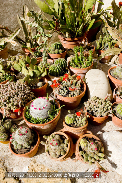 食物-匯圖網(wǎng) www.fosd68.com 食物