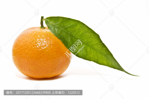 維生素