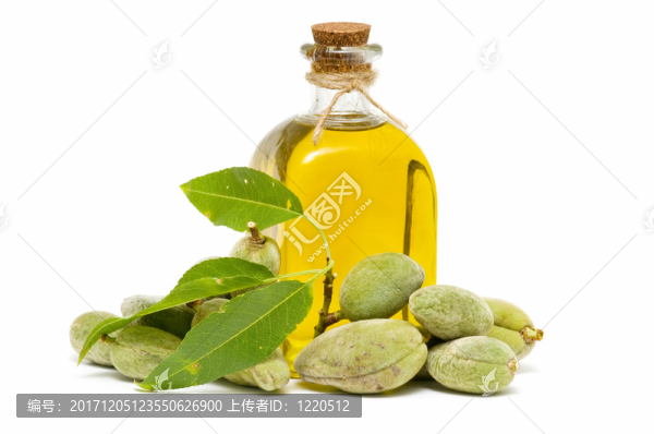 橄欖油