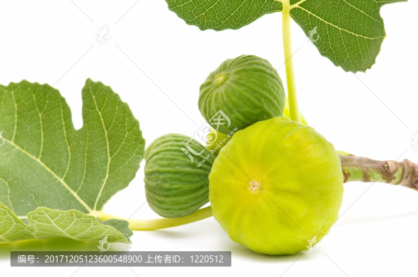 農(nóng)業(yè)