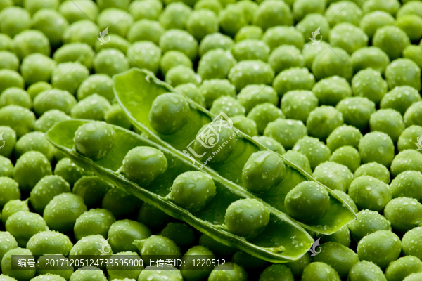 食物