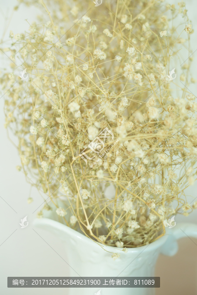 干花,室內裝飾品,花瓶