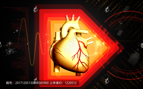 教育
