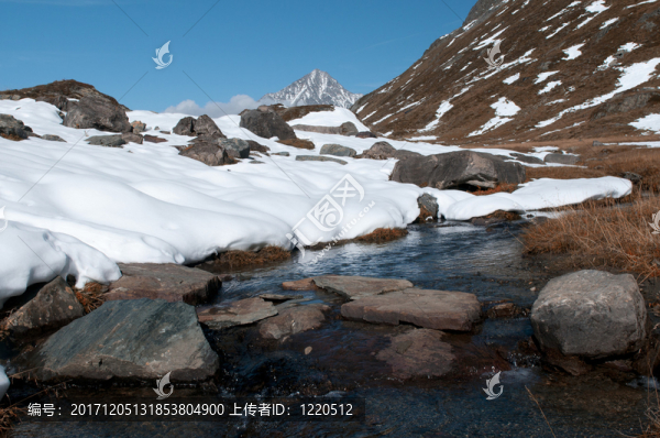 山