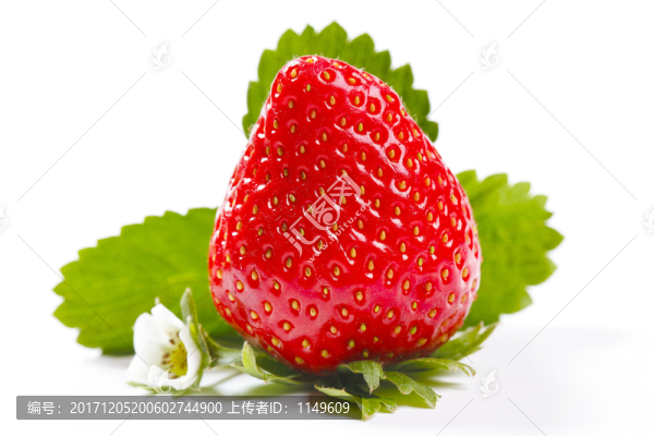 草莓高清