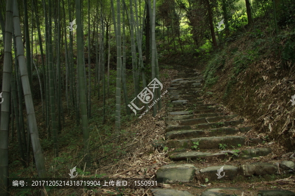 石板路