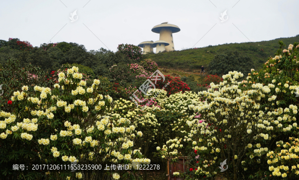 菌子山風(fēng)光