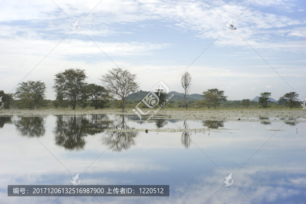 藍(lán)色