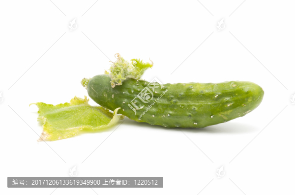 蔬菜
