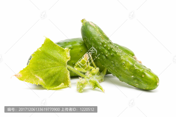 蔬菜