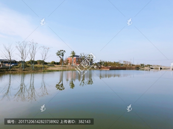 陽光明媚