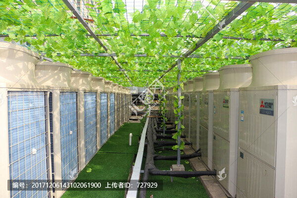 樓頂綠化裝飾