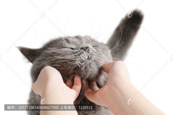 笑