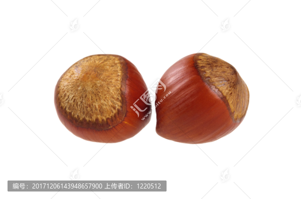 食物