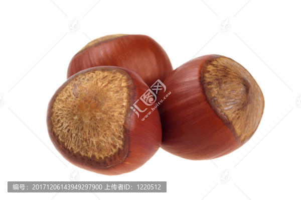 食物