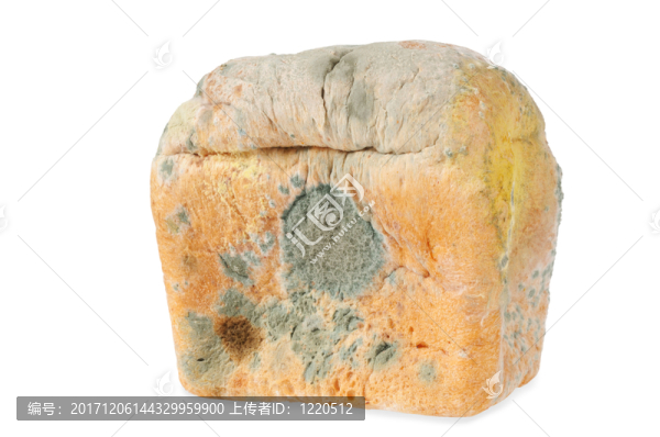 食物