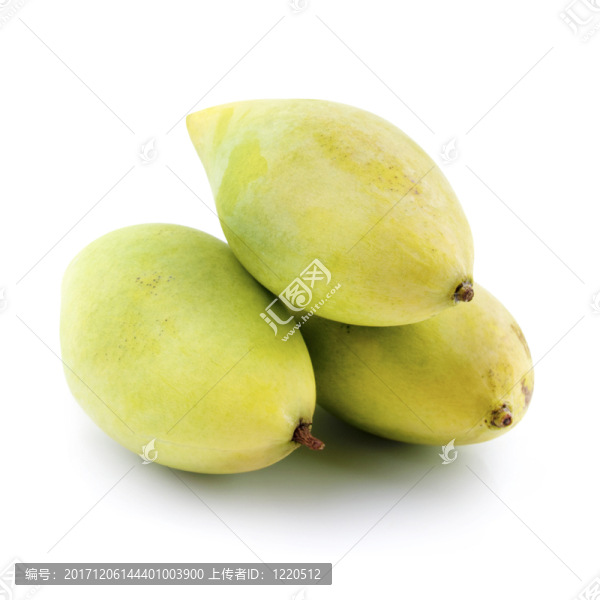 緊密的