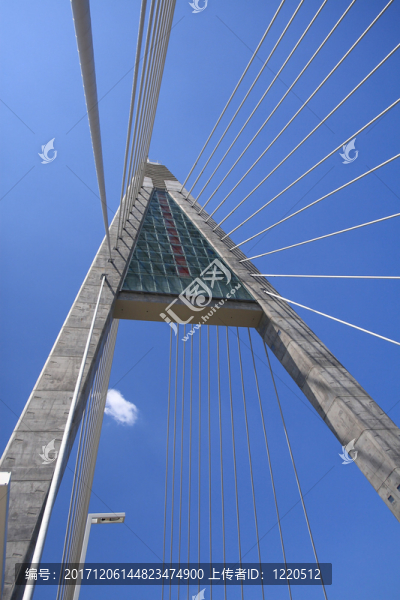 橋
