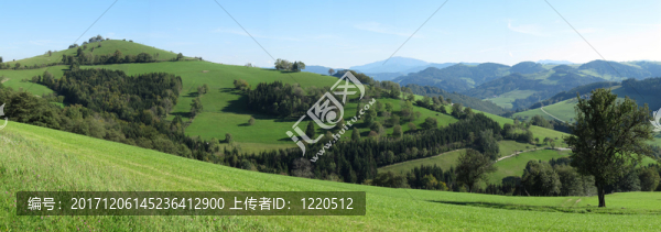 山